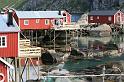 20080619_Lofoten 2008_2258_DxO